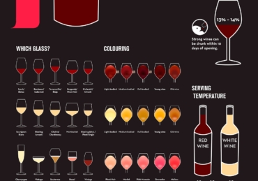 Wine Guide For Beginners