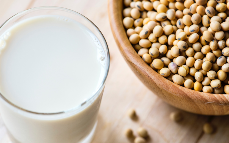Got Milk Decision Fatigue? The Pain and Politics of Soy, Almond, Oat, and Cow’s Milks