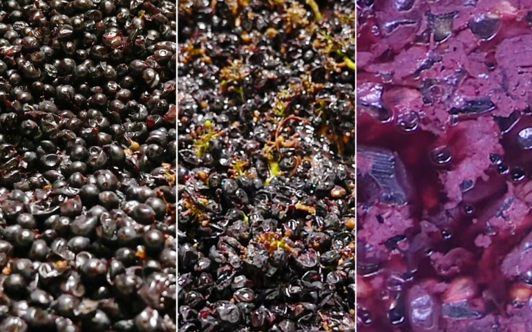 Winemaking From Start to Finish (Told in Pictures)