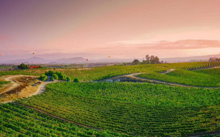 It’s Time to Start Treating Southern California as a Serious Wine Destination