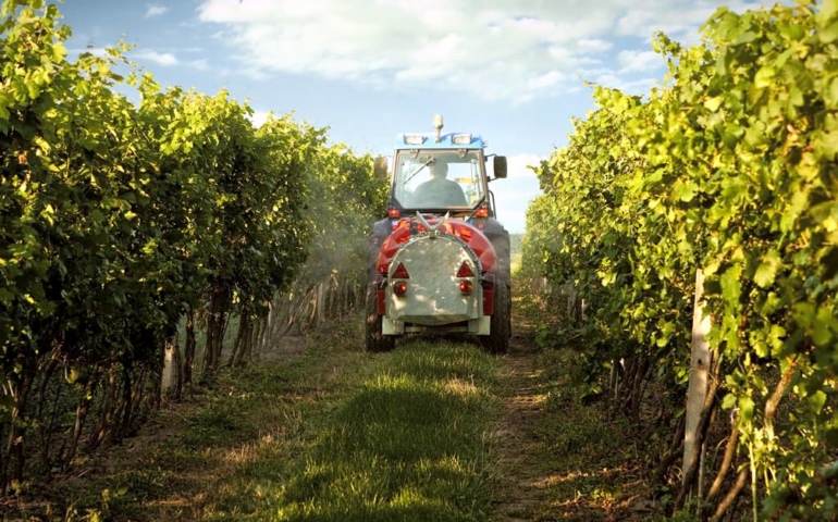 Yes, There’s Weed Killer In Your Beer and Wine, But There’s No Need to Worry
