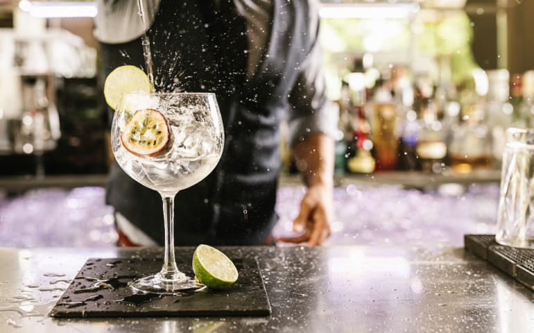 The 30 Best Gins for Every Budget