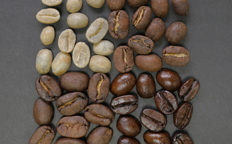 The Differences Between Light and Dark Roast Coffee Are Complex, Chemical, and Surprisingly Easy to Understand