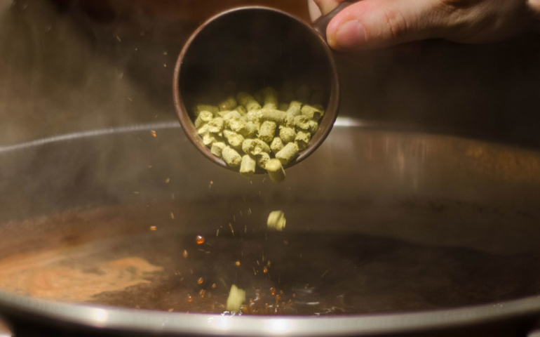 Get Hooked on Homebrewing With These Three Easy Beer Styles