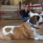 ‘Drink With Your Dog’ Training Teaches Pups Brewery Manners