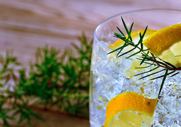 9 Gins For Gin Haters