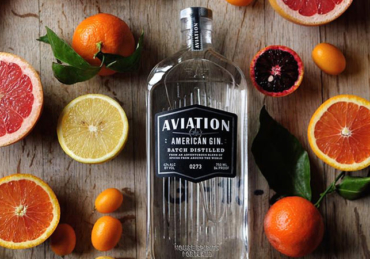 9 Things You Should Know About Aviation Gin