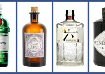 Top 10 Gin Brands Under ₦5,000 In Nigeria