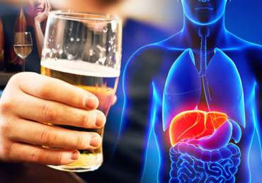 What Happens to Your Body When You Drink Alcohol