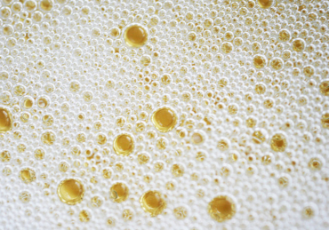 Sparkling Wine