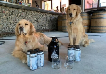 New York Brewery Employs ‘brew Dogs’ to Deliver Beer