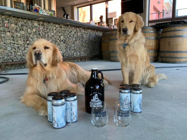 New York Brewery Employs ‘brew Dogs’ to Deliver Beer
