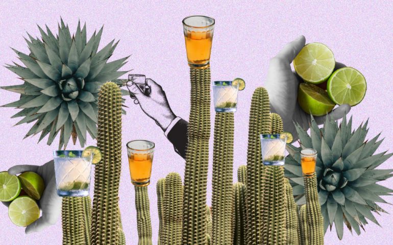 The 30 Best Tequilas for Every Budget (2020)