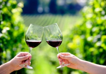 12 Planet-Friendly Wines to Drink On Earth Day