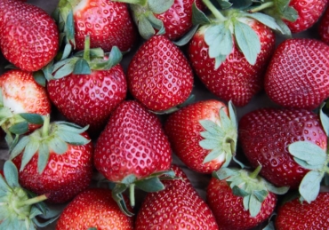 Our 12 Most Popular Strawberry Cocktail Recipes